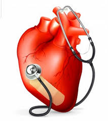 ΚΑΡΔΙΟΛΟΓΟΣ ΑΜΑΛΙΑΔΑ ΛΙΒΑΘΙΝΟΣ ΑΓΓΕΛΟΣ