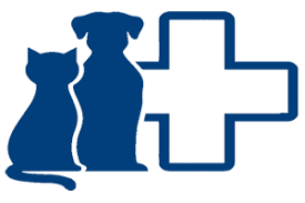 ΚΤΗΝΙΑΤΡΟΣ ΚΤΗΝΙΑΤΡΕΙΟ ΑΙΓΙΟ ΑΧΑΪΑ ΧΑΣΑΜΠΑΛΗ ΠΑΡΘΕΝΙΑ