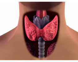 ΕΝΔΟΚΡΙΝΟΛΟΓΟΣ ΑΧΑΡΝΕΣ ΑΤΤΙΚΗ ΑΝΑΓΝΩΣΤΟΥ ΝΙΚΟΛΑΟΣ ΤΗΛΕΜΑΧΟΣ